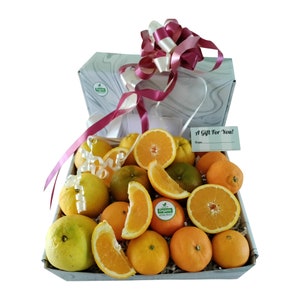 Organic Citrus Fruits Gift Box| Sweet Oranges Basket| Organic Tropical Citrus Fruits| Delicious Citrus Fruits| Gift for Health| Fresh Fruits