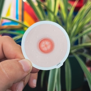 Pegatina de pezón para lesbianas, pegatina para portátil para el orgullo LGBTQIA, regalo para amantes de las pegatinas, regalo queer para ella