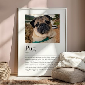 Personalised Pug Definition Print, Pug Poster, Pug Home Decor, Pug Wall Art, Pug Gifts, Pug Christmas Gifts, Pug Birthday Gifts, Pug Present