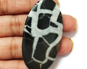 May include: Black and white oval cabochon gemstone with a unique, intricate pattern. The stone has a polished, smooth surface.