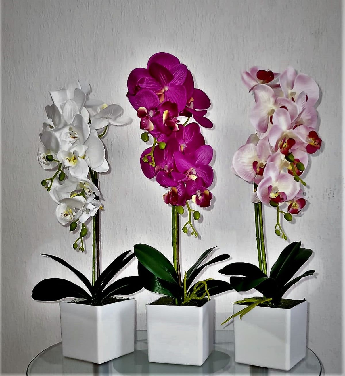 Orchid arrangement - .de