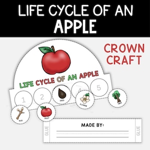May include: A paper crown craft titled LIFE CYCLE OF AN APPLE featuring a large red apple illustration. The band includes numbered circles for stages: bud, fruit, seed, flower, and tree. A separate strip labelled MADE BY includes glue tabs.