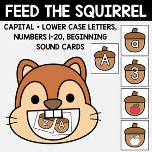 May include: A cartoon illustration features a brown squirrel with the text "FEED THE SQUIRREL". The image includes acorn-shaped cards with letters, numbers, and images of fruit. The text also includes "CAPITAL + LOWER CASE LETTERS, NUMBERS 1-20, BEGINNING SOUND CARDS."