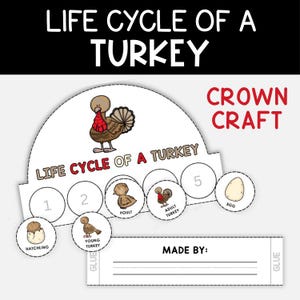 Op de afbeelding: Een papieren kroonknutselwerk getiteld LIFE CYCLE OF A TURKEY met een centrale illustratie van een volwassen kalkoen. Het ontwerp bevat cirkelvormige uitsparingen met de stadia: hatchling, young turkey, poult, adult turkey en egg, plus een naamveld.