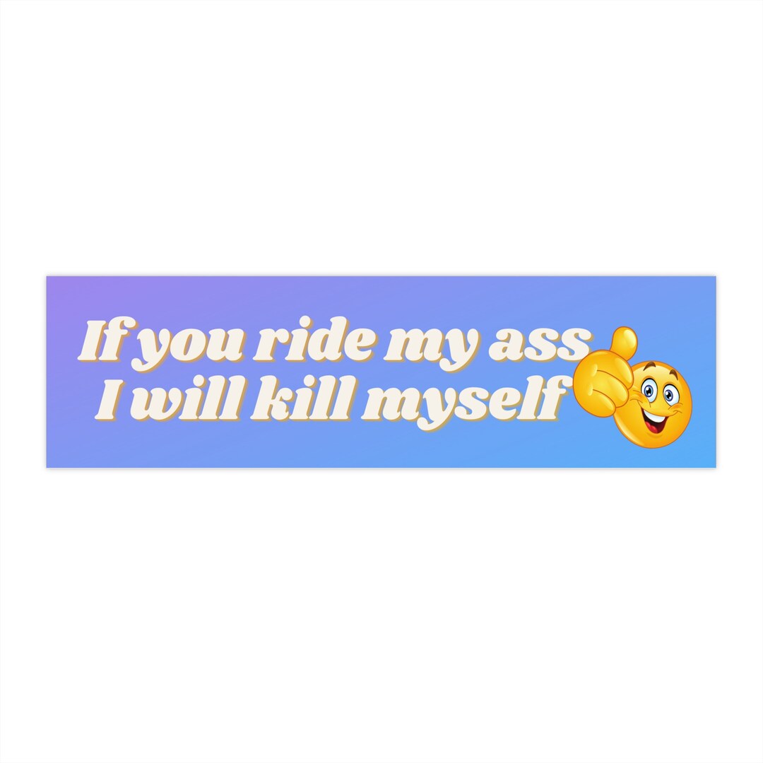 Car Bumper Stickers Funny Bumper Sticker Meme Sticker Gifts for Gamers Etsy