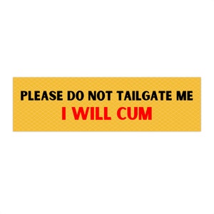 Car Bumper Sticker Funny Meme Bumper Sticker Gen Z Gift