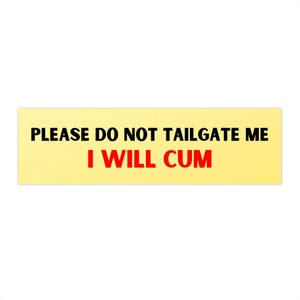 Car Bumper Sticker Funny Meme Speeding Bumper Sticker Gen Z Gift
