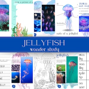Jellyfish - Unit Study