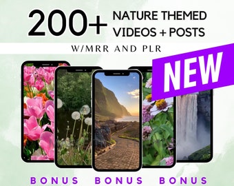 Más de 200 videos con historias de naturaleza sin rostro y estética Publicaciones Derechos de reventa maestra (MRR) y derechos de marca privada (PLR) Producto digital