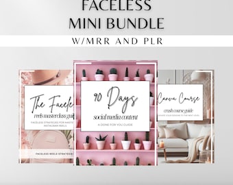 Mini paquete sin rostro para marketing digital hecho para usted con derechos de reventa principales (MRR) y derechos de etiqueta privada (PLR) para productos digitales