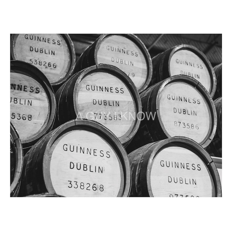 K&ouml;nnte beinhalten: Nahaufnahme von mehreren Holzf&auml;ssern mit dem Text "GUINNESS DUBLIN" und einer eindeutigen Nummer auf jedem Fass.