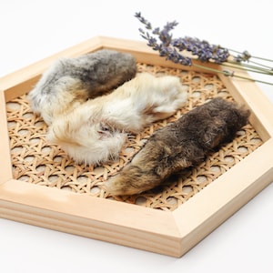 Dehydrated BACK Rabbit Feet for Dogs | Healthy Dog Treats | Healthy Cat Treats | Organic Dog Treats | Natural Dog Treats | Treats for Cats