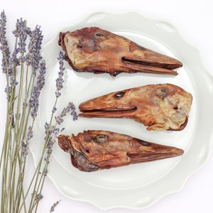 Dehydrated Duck Heads for Dogs | Healthy Dog Chews | Organic Dog Treats | Natural Dog Treats