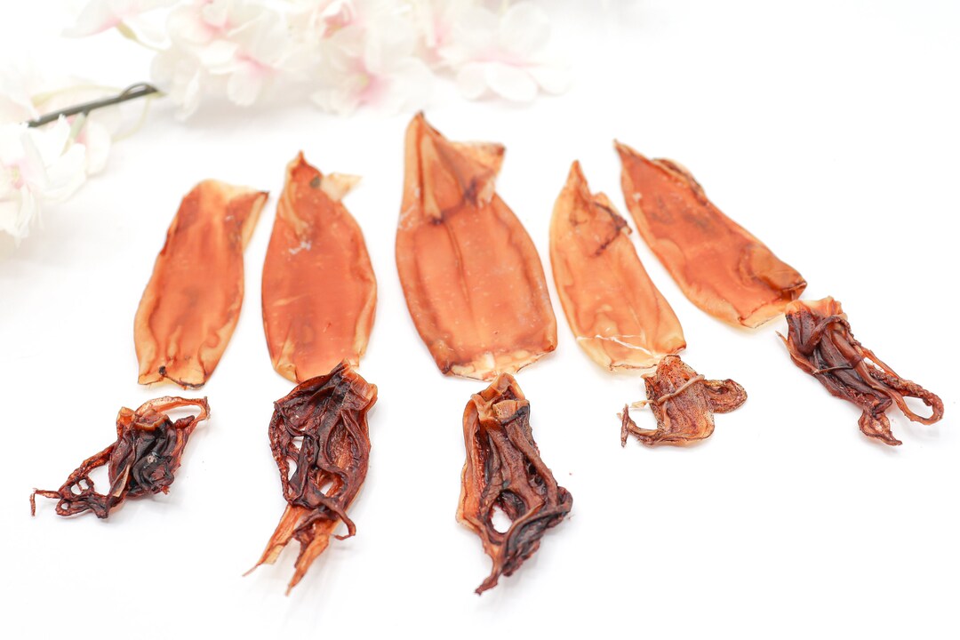 Dehydrated Wild Caught Squid for Dogs Healthy Dog Treats Healthy Cat