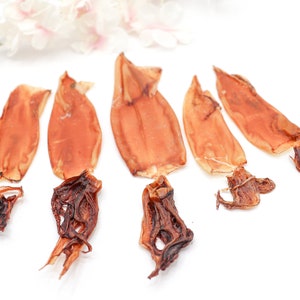 Dehydrated Wild Caught Squid for Dogs | Healthy Dog Treats | Healthy Cat Treats | Organic Dog Treats |Natural  Dog Treats | Treats for Cats