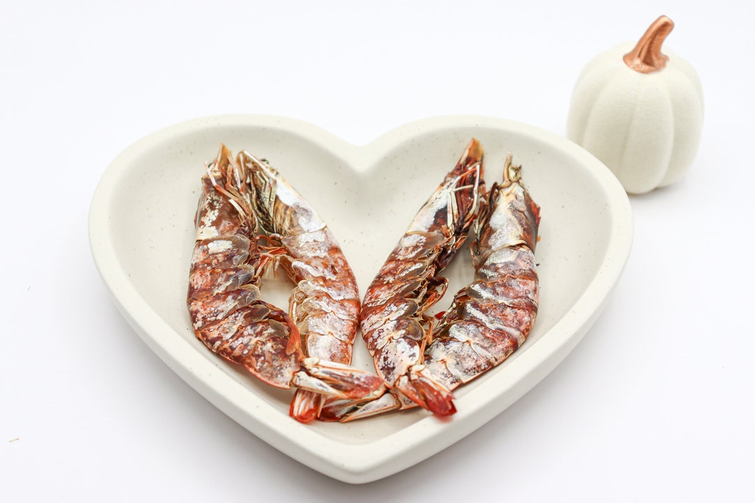 Dehydrated Wildcaught Jumbo Shrimp for Dogs Healthy Dog Treat Healthy