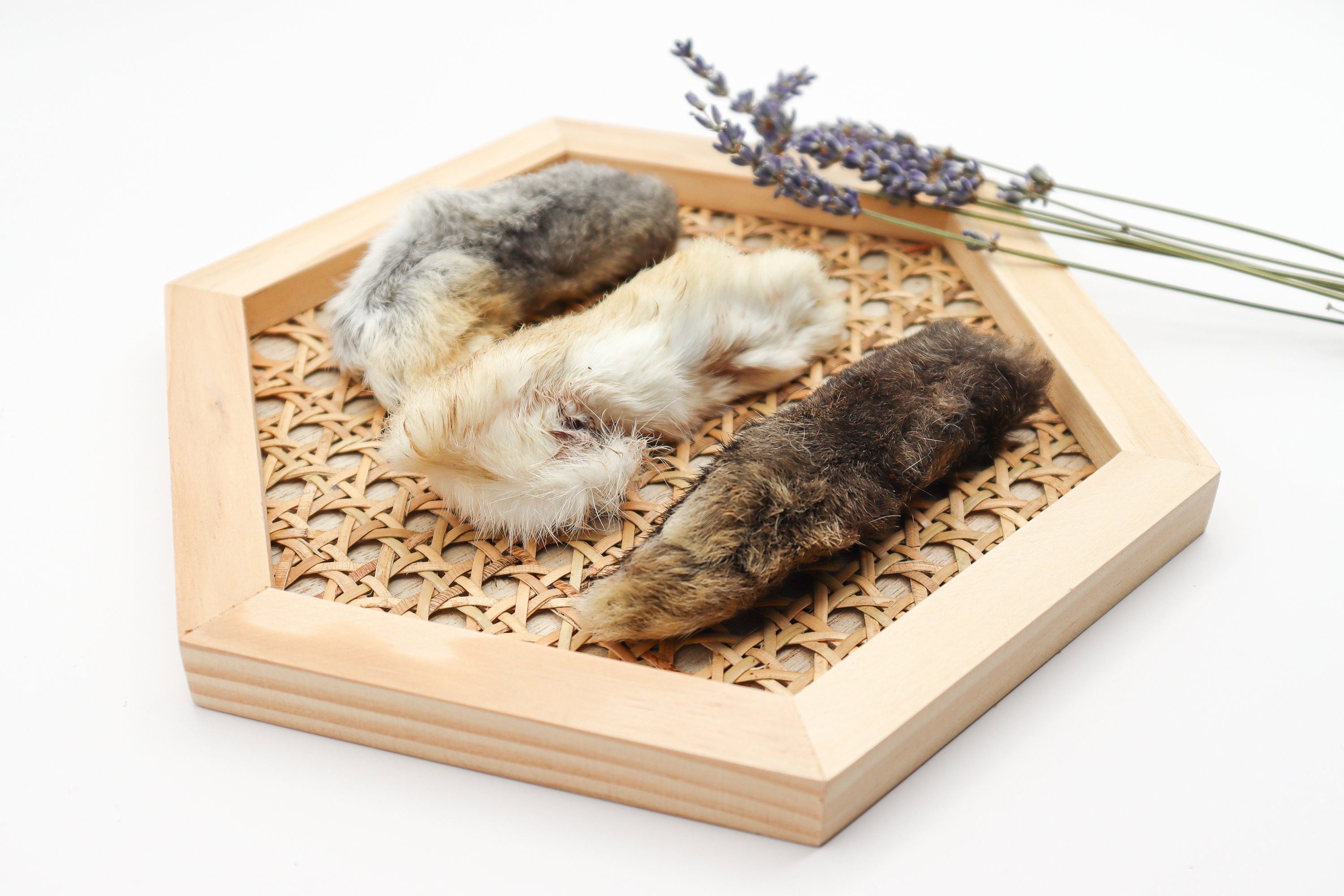 Rabbit Foot Toys for Cats Etsy