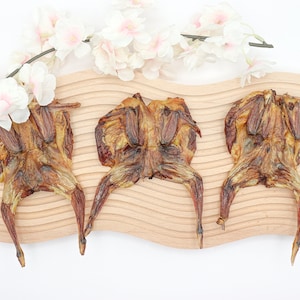 Dehydrated Whole Quails for Dogs | Healthy Dog Treats | Healthy Cat Treats | Organic Dog Treats | Natural Dog Treats | Treats for Cats