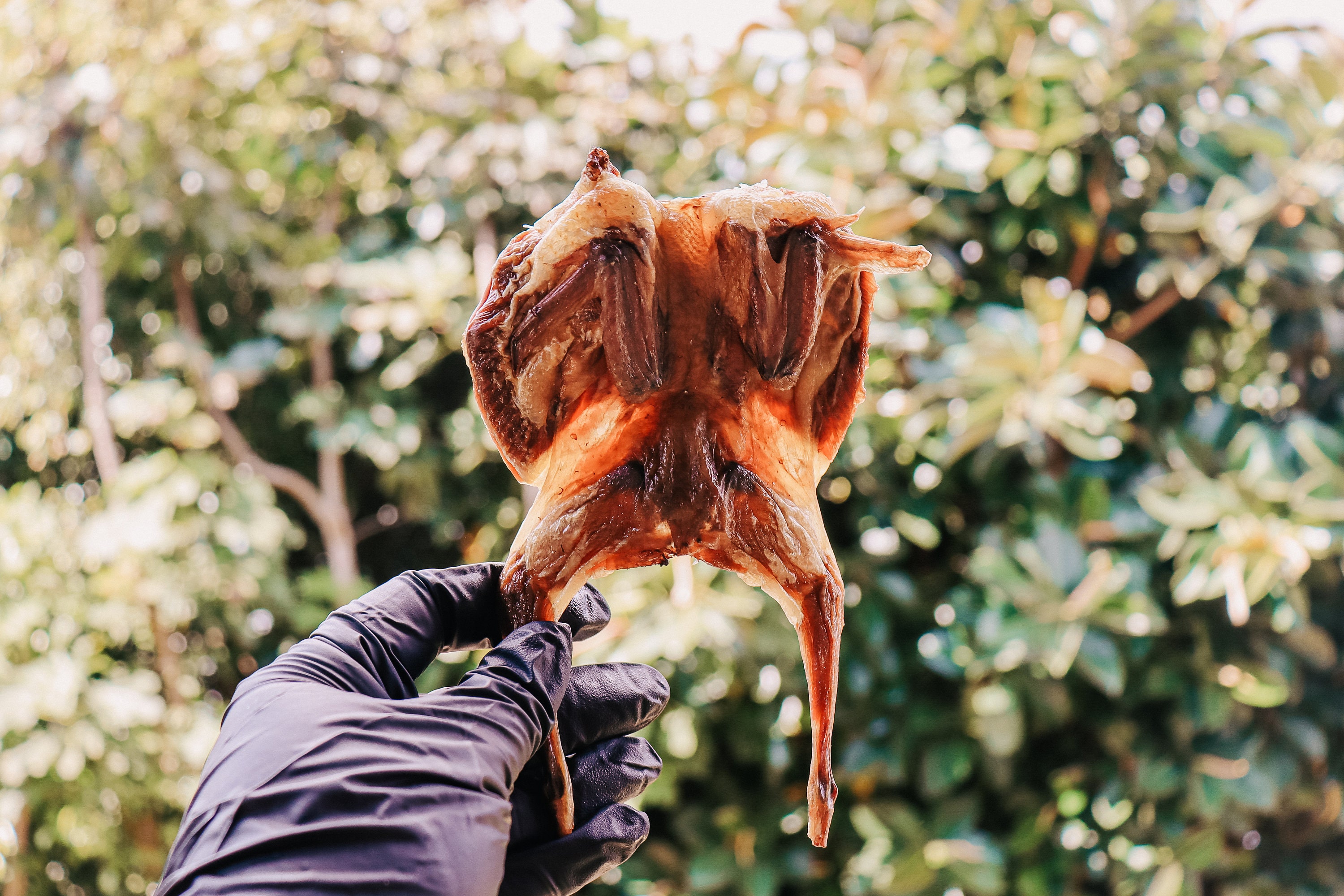 Dehydrated Whole Quails for Dogs Healthy Dog Treats Healthy Cat Treats