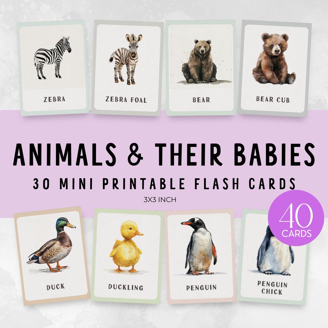 40 Mini Animals and Their Babies Flash Cards | Printable Montessori ...