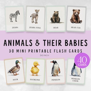 40 Mini Animals and their Babies Flash Cards | Printable Montessori-Inspired Cards Morning Basket Activity | Toddler Educational Activity