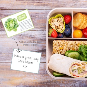 Notes sur la boîte à lunch des faits amusants sur les légumes pour les enfants, cartes d'activités sur la nutrition des enfants, faits sur les légumes pour les enfants d'âge préscolaire, cartes de repas pour enfants