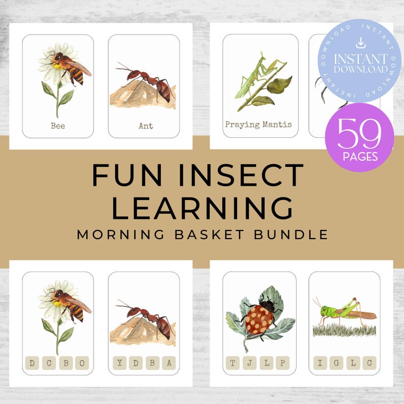 Insect Activity Pack for Toddlers | Mini Beast Morning Basket ...