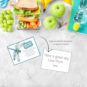 Libelle Fun Facts Lunchbox Notizen für Kinder, Libelle lernen Printables, Insekt Fun Facts für Kinder, Kinder Insekten Aktivitätskarten