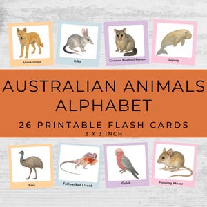 Australian Animal Alphabet Flashcards | Montessori-Inspired | Instant Download Printable | 3x3 inch | Toddler Morning Basket Activity | PDF