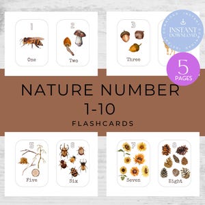 Nature-Inspired Numbers 1–10 Flashcards | Printable Educational Cards | Morning Basket Activity | Homeschool | Pdf