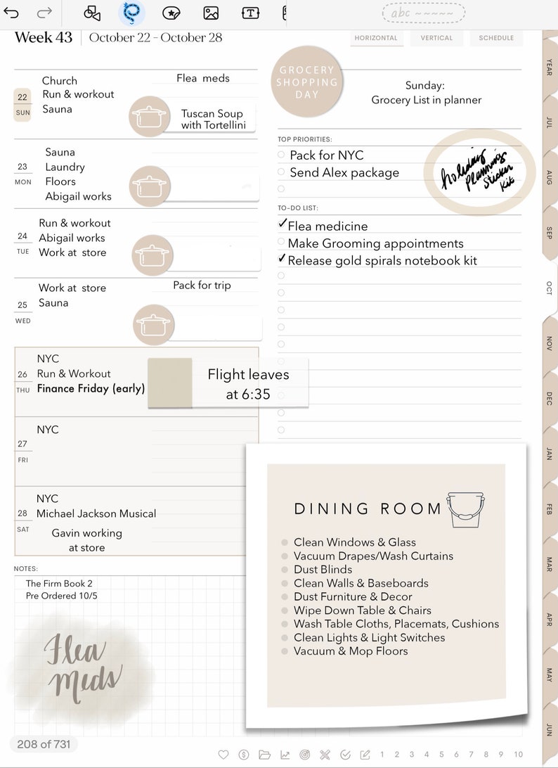 Clean Out Notes Cleaning Card System Sticky Notes Kit | Digital Goodnotes - Etsy