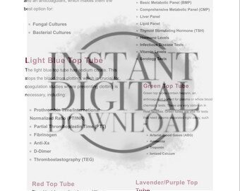 Order of Draw Printable Worksheet, Digital Phlebotomy Worksheet, CLSI ...