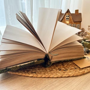 K&ouml;nnte beinhalten: Ein offenes Buch mit einem gr&uuml;nen und braunen Einband, das auf einer geflochtenen Matte liegt. Das Buch ist auf einer leeren Seite aufgeschlagen, wobei die Seiten aufgef&auml;chert sind.