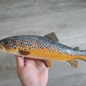 Brown trout taxidermy - Etsy 日本