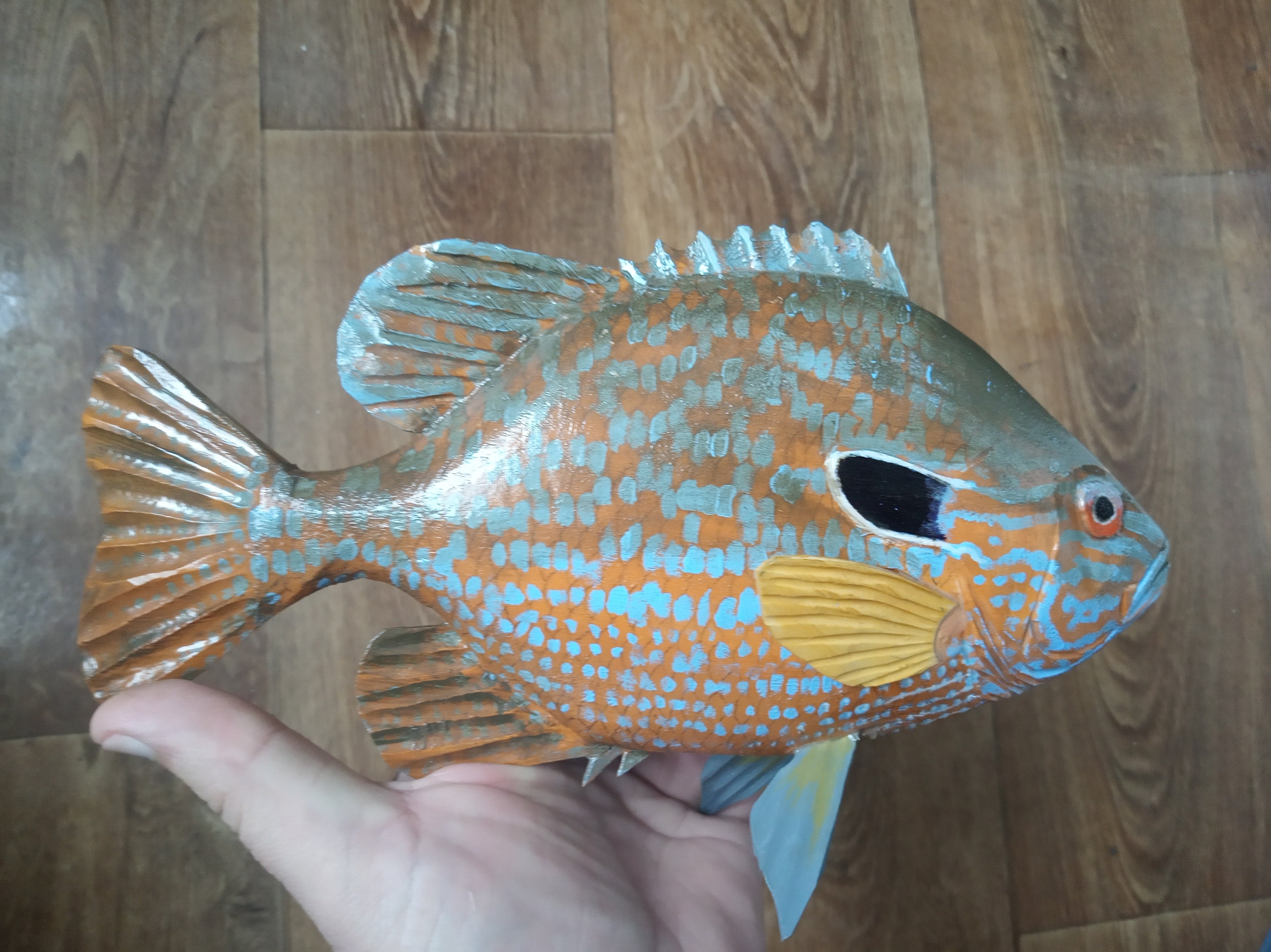 Taxidermy sunfish - Etsy 日本
