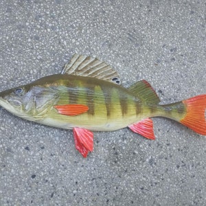 European perch, Perca fluviatilis, 11-15 inches 3D wooden fish, both sides hand carved and painted, perch, common perch, redfin perch image 7