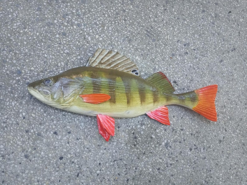 European perch, Perca fluviatilis, 11-15 inches 3D wooden fish, both sides hand carved and painted, perch, common perch, redfin perch image 7