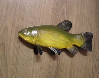 Tench, Tinca tinca,16-20 inches 3D wall wooden fish,one side hand carved and painted,fish carving, fish art, fish wall decor, fishing trophy