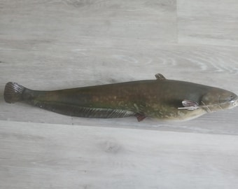 European catfish, Silurus glanis, Wels catfish, Silure, 16-20 inches 3D wooden fish,both sides hand carved and painted,fish carving