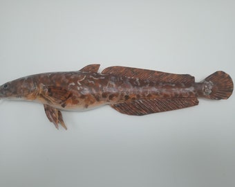 Burbot, Lota lota, Freshwater cod, 16-20 inches 3D wooden fish, both sides hand carved and painted, fishing trophy, fish carving