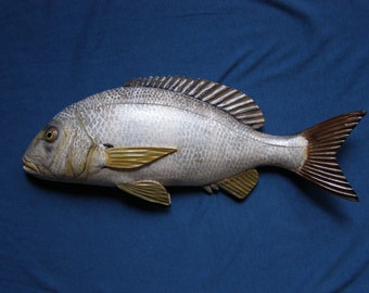Common dentex, Dentex dentex, 11-15 inches 3D wooden fish, both sides hand carved and painted, fish carving, fishing trophy