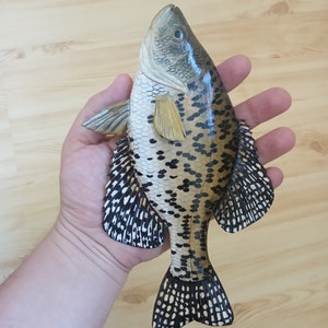 Black crappie, Pomoxis nigromaculatus, 5-10 inches 3D wooden fish, both sides hand carved and painted, fishing trophy, fish carving 7 inch