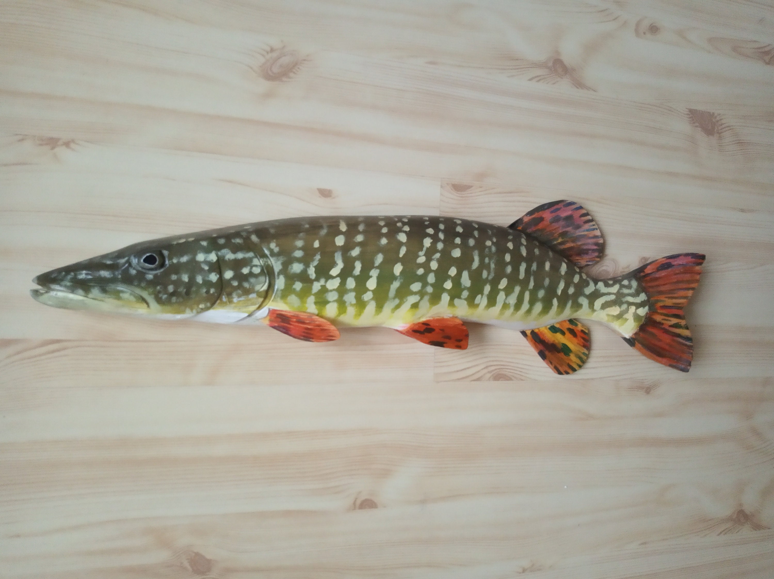 Northern Pike, Esox Lucius, Pike, 21-25 Inches 3D Wall Wooden Fish