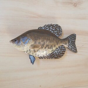 Black crappie, Pomoxis nigromaculatus, 5-10 inches 3D wooden fish, both sides hand carved and painted, fishing trophy, fish carving 6 inch