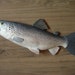 see more listings in the one side carved fish section