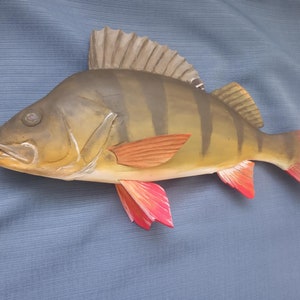 European perch, Perca fluviatilis, 11-15 inches 3D wooden fish, both sides hand carved and painted, perch, common perch, redfin perch 15 inch