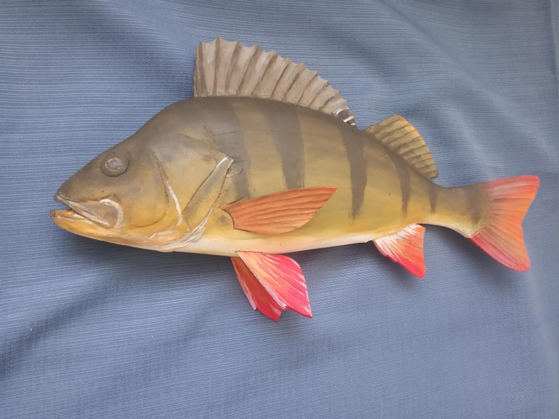 European perch, Perca fluviatilis, 11-15 inches 3D wooden fish, both sides hand carved and painted, perch, common perch, redfin perch 15 inch