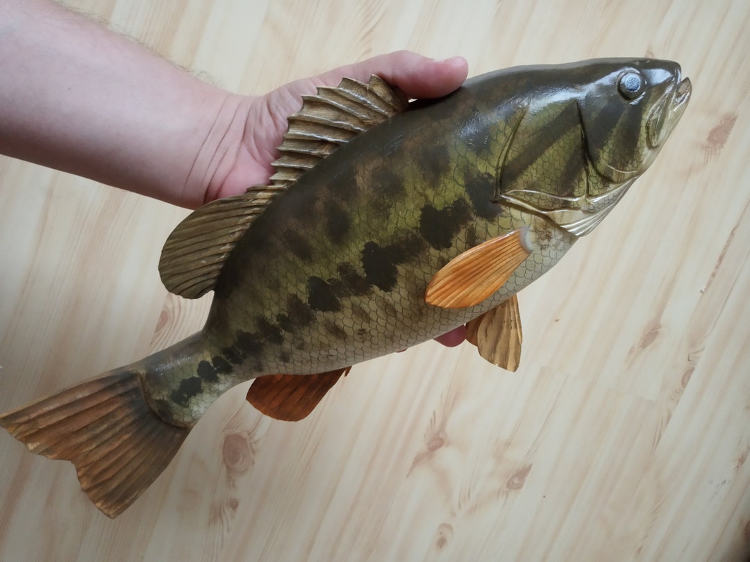 20 Inch Largemouth Bass Weight Bass Fishing Scale Largemouth Bass