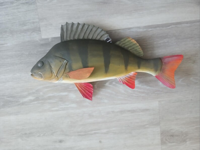 European perch, Perca fluviatilis, 11-15 inches 3D wooden fish, both sides hand carved and painted, perch, common perch, redfin perch image 3