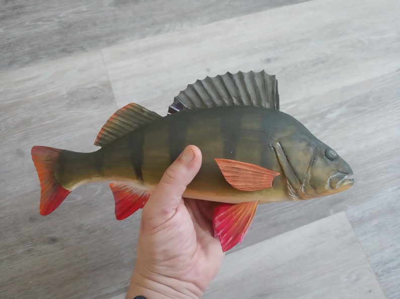 European perch, Perca fluviatilis, 11-15 inches 3D wooden fish, both sides hand carved and painted, perch, common perch, redfin perch 13 inch
